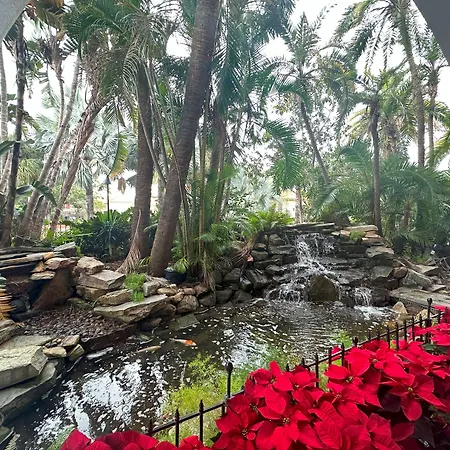Tahitian Inn Boutique Hotel Tampa-3